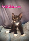 Madeson