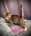 Meg
