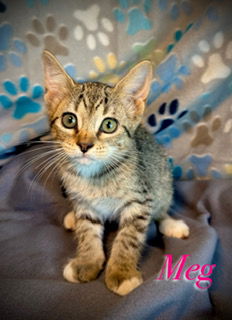 Meg