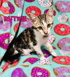Ruthie