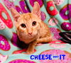 Cheese-It
