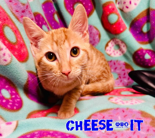 Cheese-It