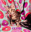 Caydee