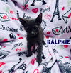 Ralphie