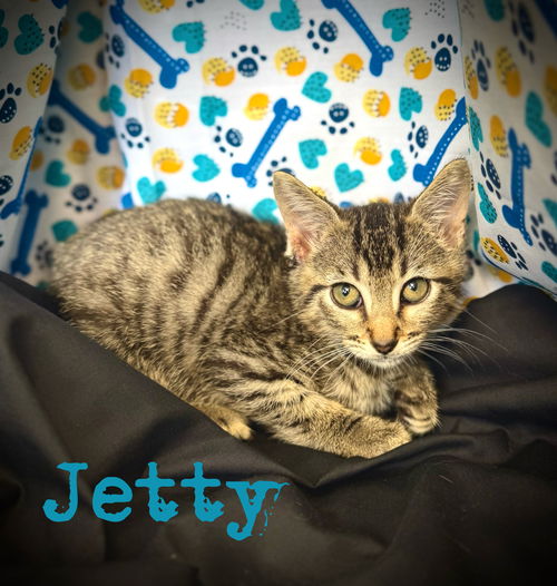Jetty