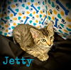 Jetty