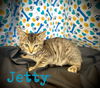 Jetty