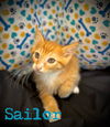 Sailor