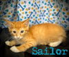 Sailor