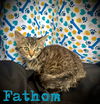 Fathom