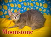 Moonstone