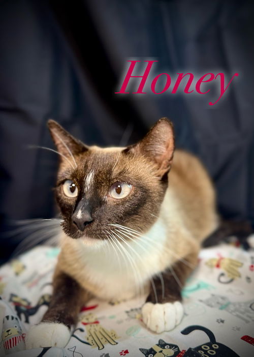 Honey