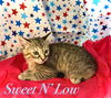 Sweet N Low
