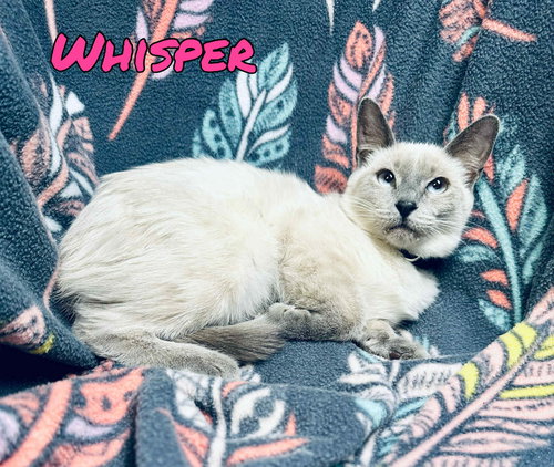 Whisper