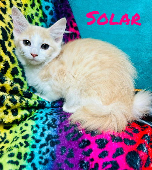 Solar