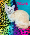 Solar