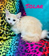 Solar