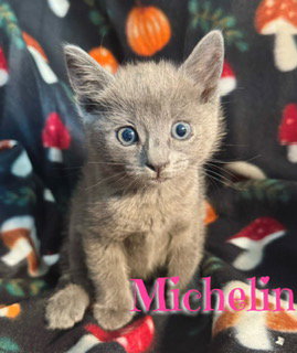 Michelin