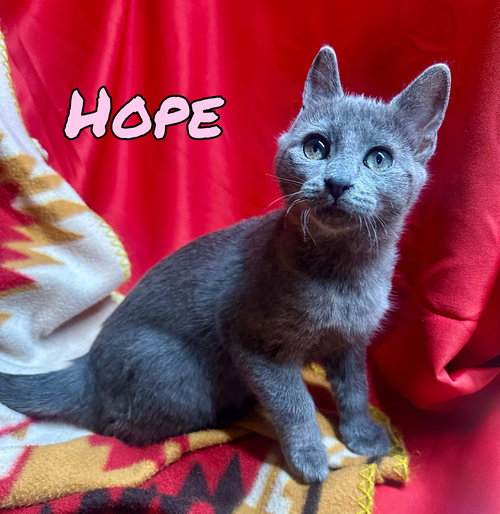 Hope