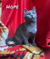 Hope