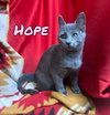 Hope