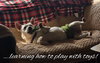 Butter - Photo 6