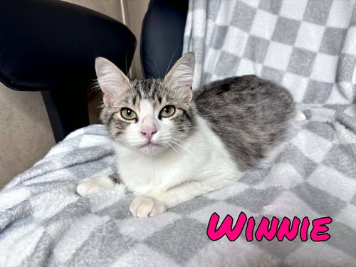 Winnie