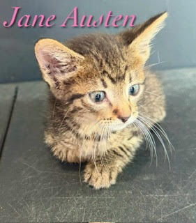 Jane Austen
