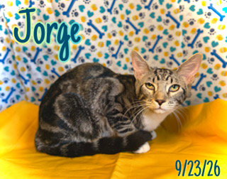 Photo 2 of Jorge