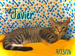Photo 2 of Javier
