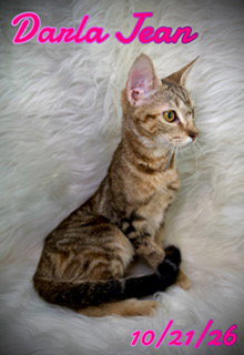 Darla Jean, photo 2