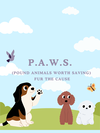 adoptable Dog in  named TEST_CUTIE