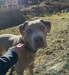 Rofus - Photo 4