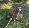 Lucky - Photo 1