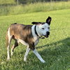 Roman - Photo 2