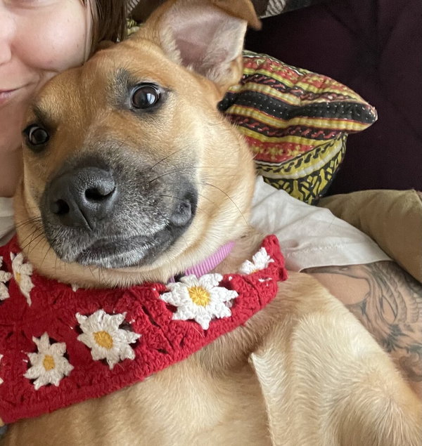 Daisy