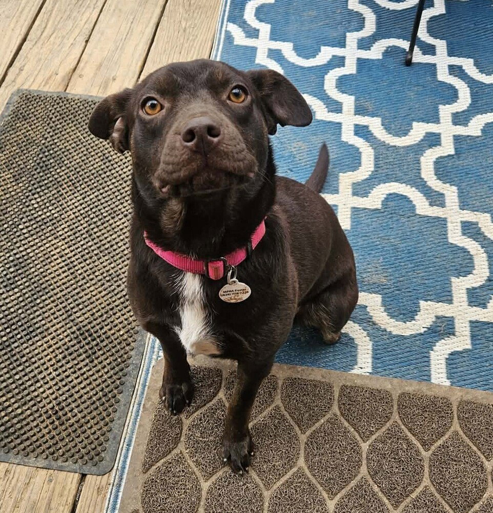 Darla