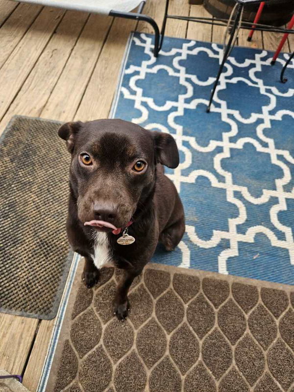 Darla