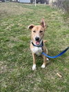 Wilbur - Photo 2