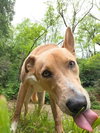 Wilbur - Photo 3