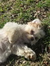 Eldon - Photo 2