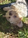 Eldon - Photo 4