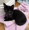 Pawtucket - Photo 2