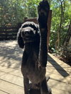 Toby - Photo 3
