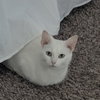 Edith - Photo 2