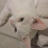 Edith - Photo 4