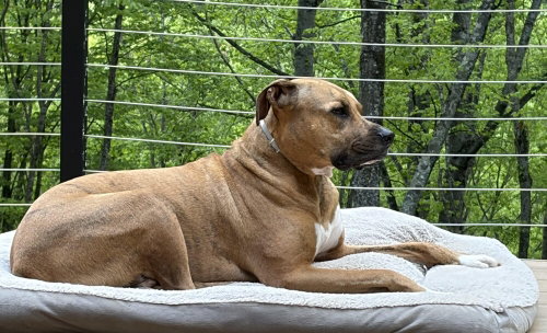 Finley photo 2