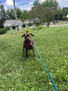 Marsha - Photo 3