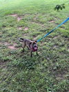 Marsha - Photo 4