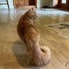 Sloane - Photo 3
